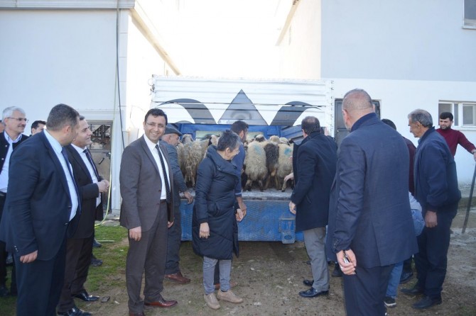 Genç Çiftçiler'e küçükbaş hayvan ve fıstık fidanı dağıtıldı