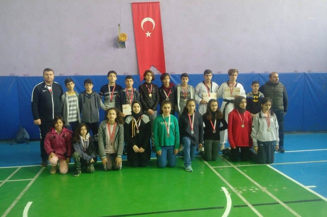 Vanlı taekwondocular ana ligden 17 madalya elde ettiler