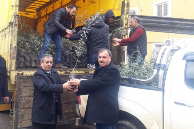 Çiftçilere meyve fidanı desteği