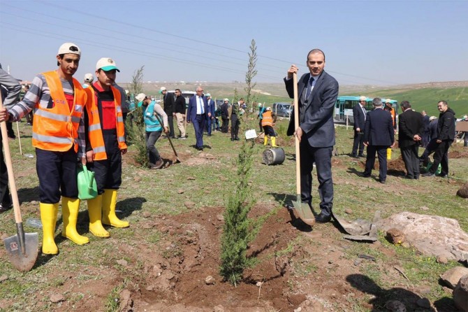 ​Şanlıurfa’da hükümlüler fidanları toprakla buluşturdu