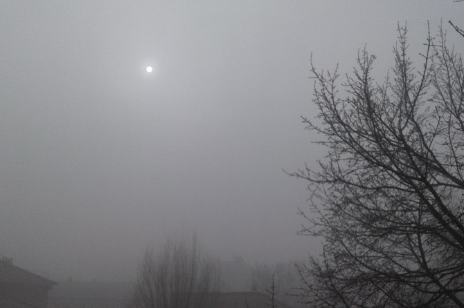 Yoğun sis Ağrı'da etkili oldu