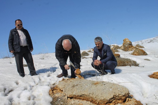 Muş'ta bin 900 metre rakımda fosiller bulundu