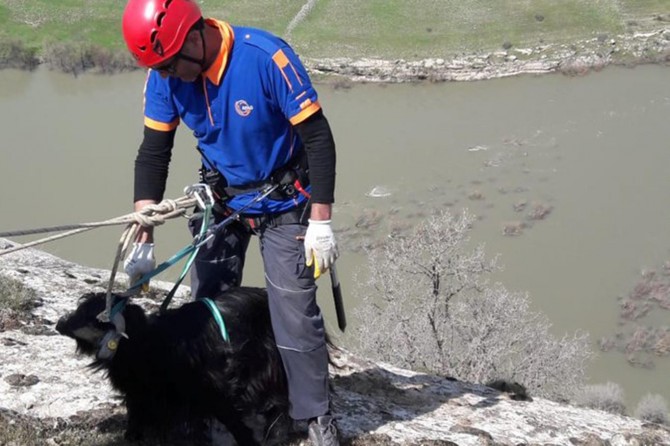 Uçurumda mahsur kalan keçi kurtarıldı