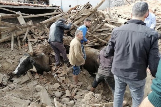Li Denîzlîyê di 3 rojan de 862 erdhej pêk hatin