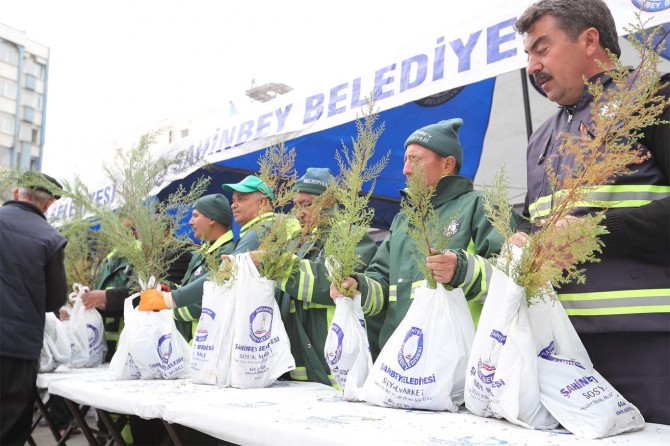 Gaziantep’te 150 bin ücretsiz çam fidanı dağıtıldı
