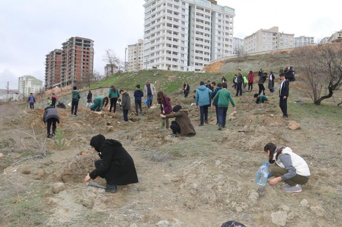 Çanakkale şehidleri anısına fidan diktiler
