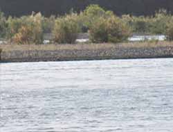 Batman Çayı Islah Projesi Başlıyor