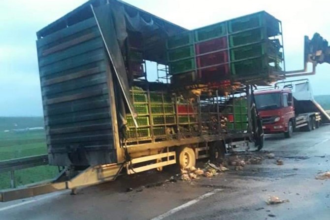Kovancılar'da tavuk yüklü TIR alev aldı