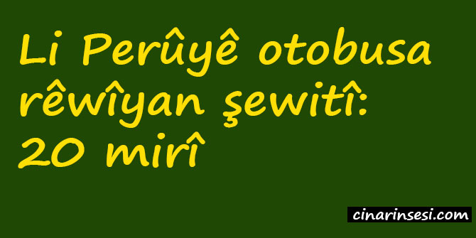 Li Perûyê otobusa rêwîyan şewitî: 20 mirî