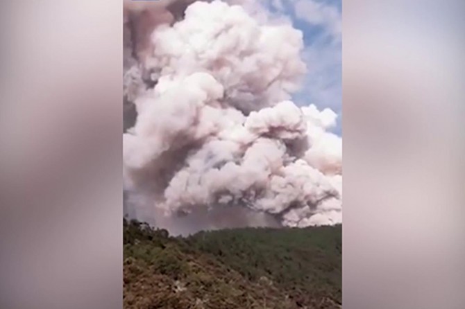 Di şewata daristanê de 30 îtfaîyevan mirin