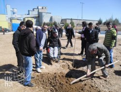 Batman'da 1500 Fidan Dikimi Yapıldı