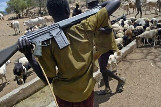 Nijerya'da çatışma: 50 ölü