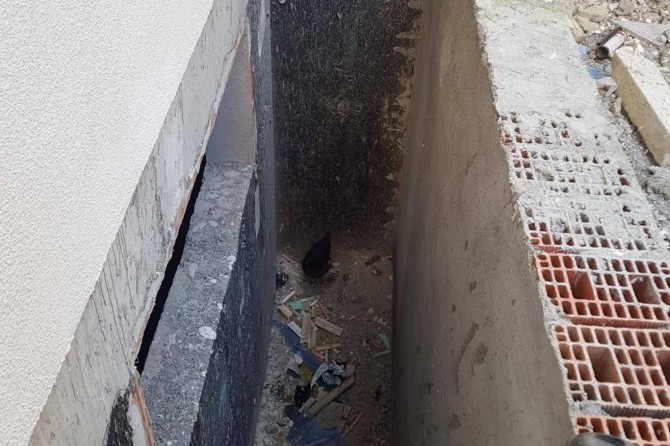 İnşaat çukuruna düşen tavuk ve köpek kurtarıldı