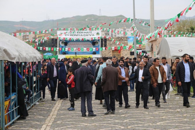 Li Cizîrê Evîndarên Pêxember xwe berdan qadê û muhabbeta xwe nîşan dan