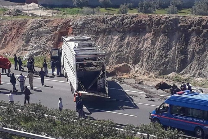 ​Gaziantep'te devrilen TIR’ın sürücüsü hayatını kaybetti