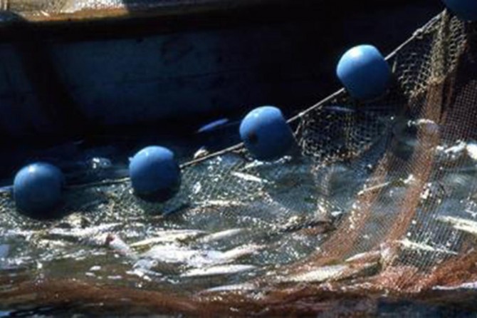 Balıkçılık av sezonu bu gece sona eriyor