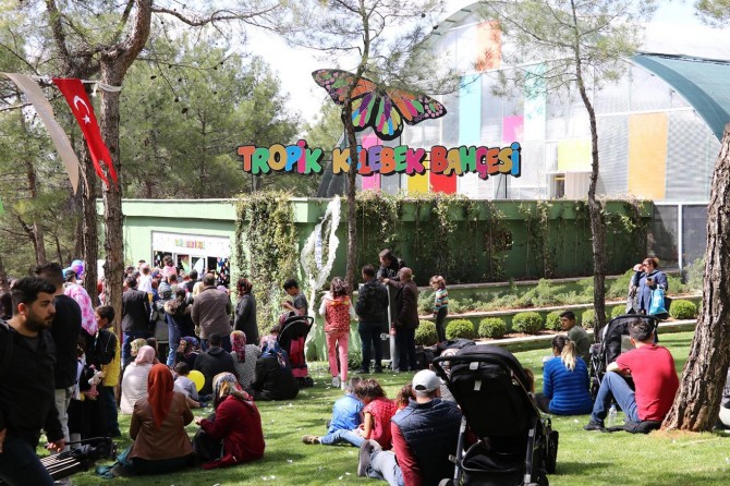 Türkiye'nin ikinci Tropik Kelebek Bahçesi ziyarete açıldı