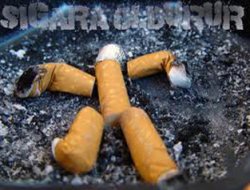 Ölümüne İçiyoruz!