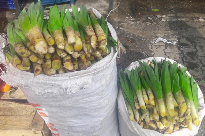 Bitlis'te çiriş otu fiyatıyla cep yakıyor