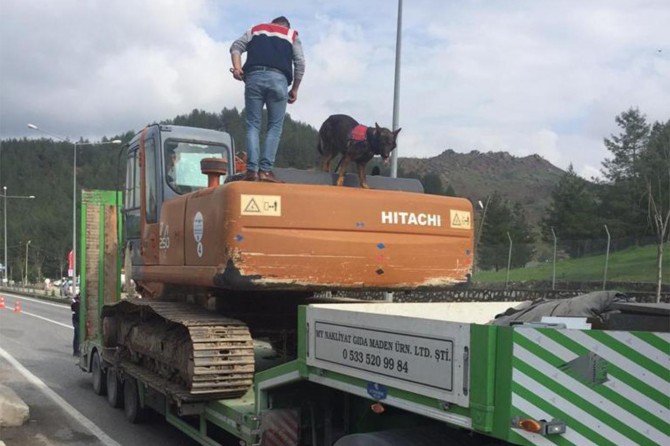 Siirt'te Türkiye Duman Uygulaması gerçekleşti