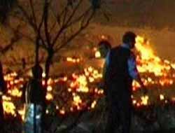 Agir Bi Hepsa Tîpa M Ya Beycûmaya Zonguldakê Ket