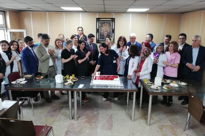 Batman'da "Ebe ve Hemşireler Günü" kutlandı