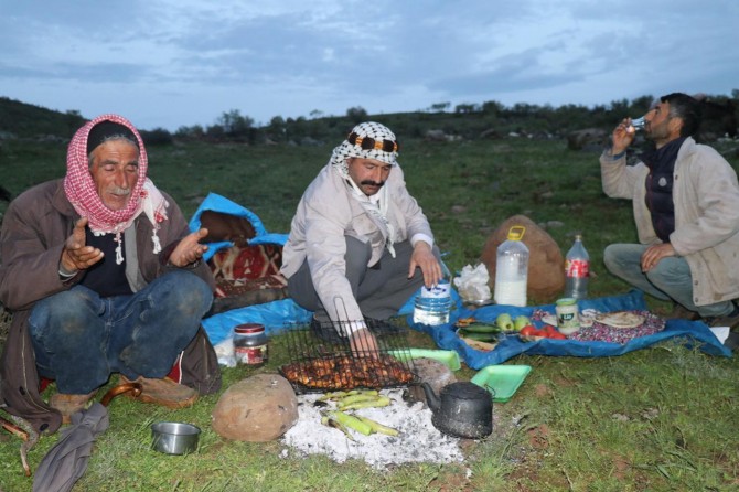 Şivanên koçer rojîya xwe li ber pêz vekirin