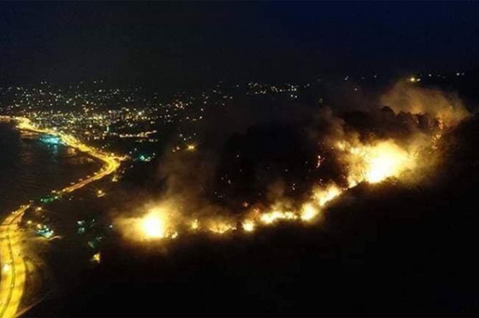 Şewata daristanê her ku diçe belav dibe