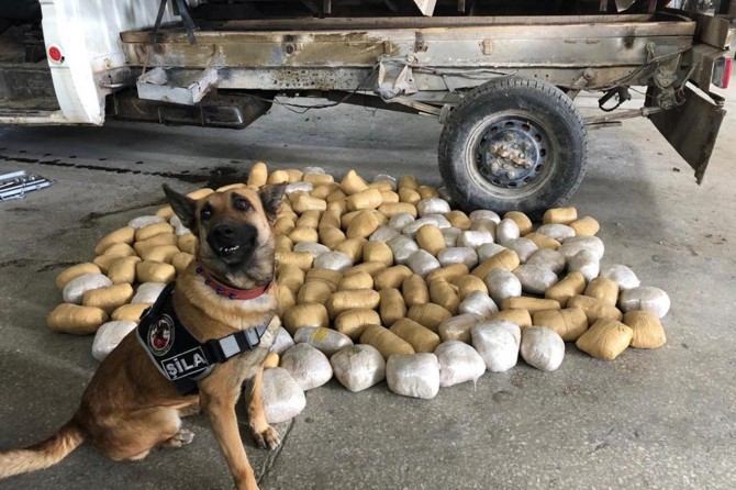 Li Wanê 155 kîlo eroîn hat bidestxistin