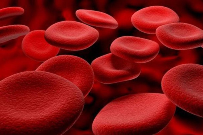 Talasemi hastalığının tedavisinde taze kan bizler için çok önemli