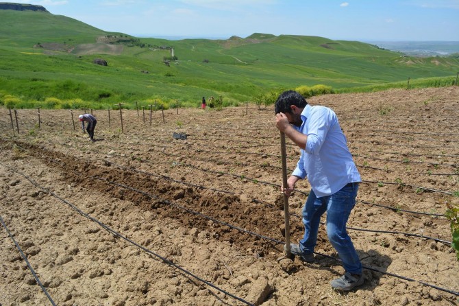 Batman’da çiftçilerin zorlu ramazan mesaisi