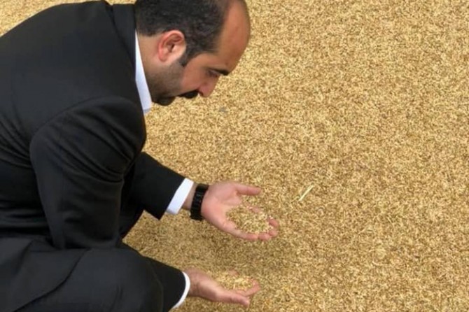 Yılın ilk arpa hasadı başladı