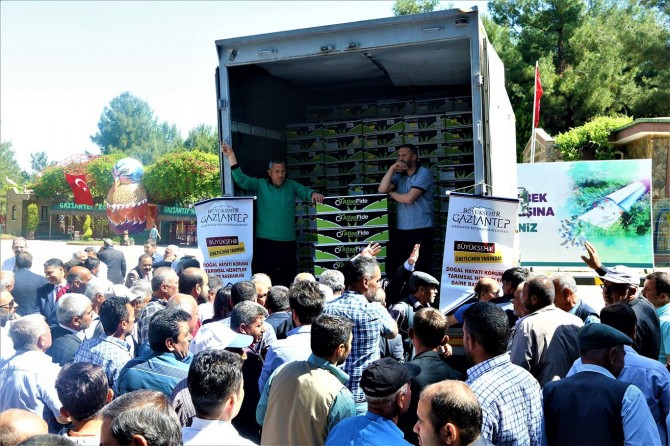 Çiftçilere domates ve patlıcan fidesi dağıtıldı