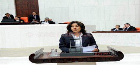 'AKP'liden Alevi, Alevi'den AKP'li olamaz'