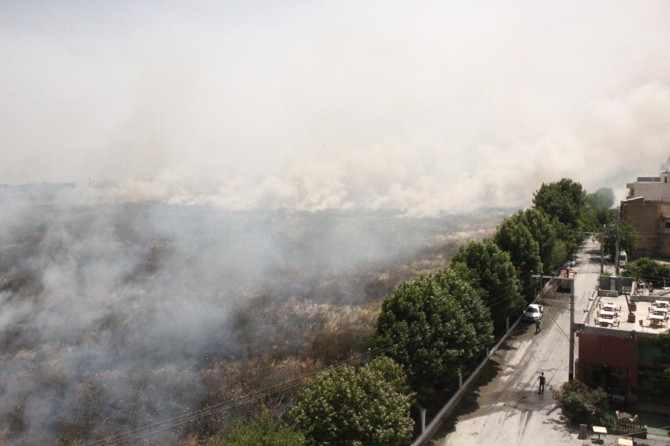 Suriye sınırındaki mayınlı alanda çıkan yangın korkuttu