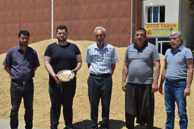 Hilvan'da ilk arpa hasadı yapıldı