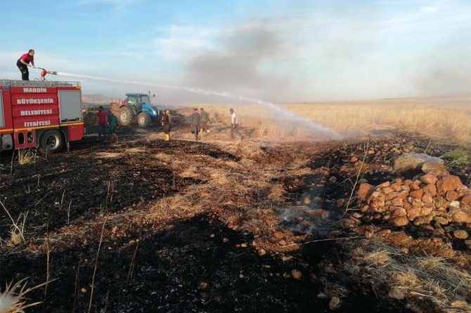 30 donim ceh şewitî