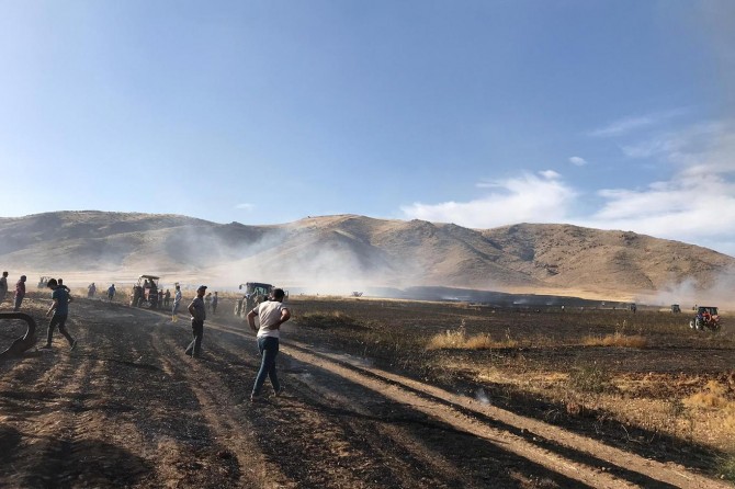 Nusaybin'de hasat bekleyen 100 dönüm ekin küle döndü