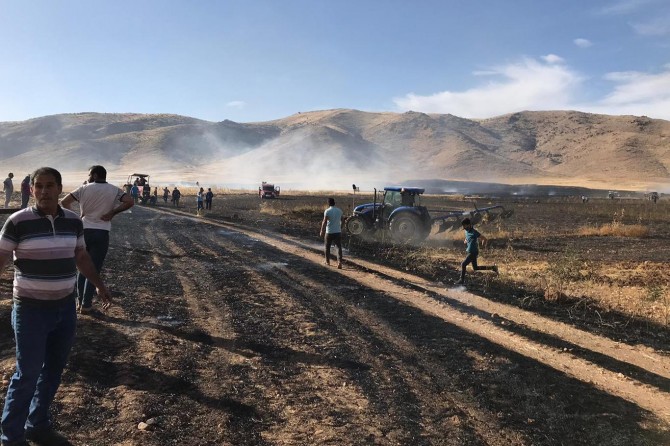 100 donim genim û nîsk şewitîn