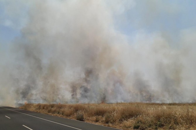 Türkiye-Suriye sınırında mayınlı alanda çıkan yangın buğday tarlalarına sıçradı