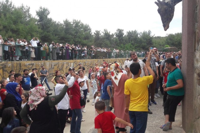 Gaziantep Hayvanat Bahçesine bayram tatilinde yoğun ilgi