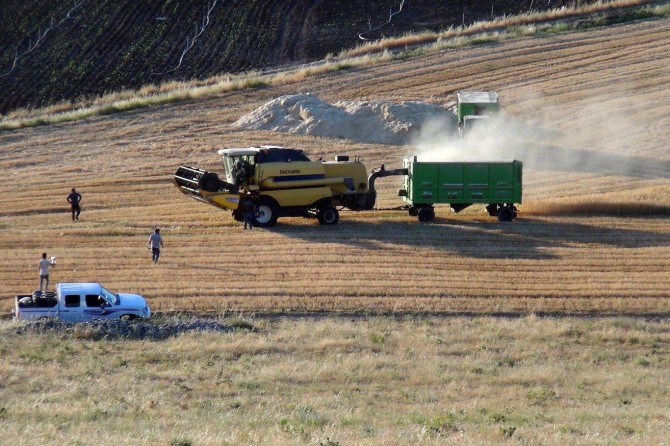 Hava şartları ürünleri olumsuz etkiledi