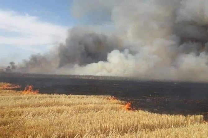 Mardin Artuklu'da 45 dönüm buğday ekili alan kül oldu
