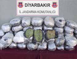 Diyarbakır'da 172 Kg Esrar Ele Geçirildi