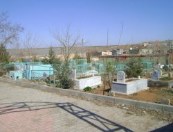 Çınar Şefkat Der'den Taziye Mesajı