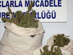 Yolcu Otobüsünde Esrar Ele Geçirildi