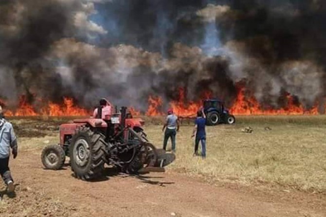 500 donim genim şewitî