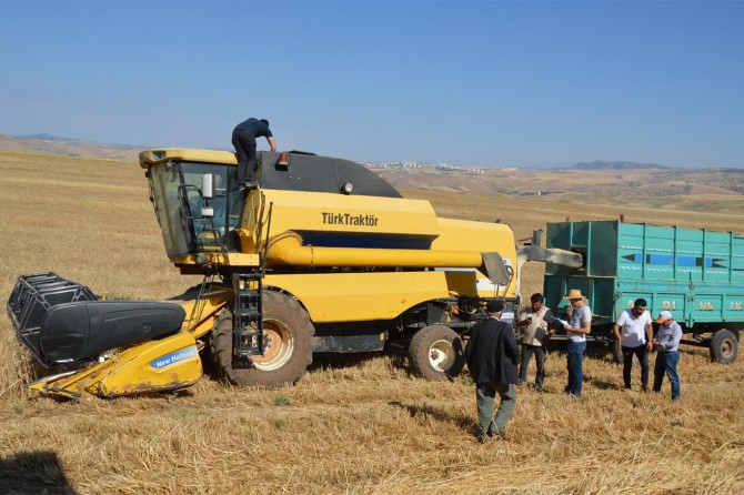 Siirt'te biçerdöverler dane kayıplarının önlenmesi amacıyla kontrol ediliyor