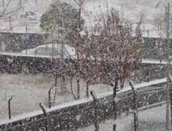 Bingöl'e Yılın İlk Karı Düştü