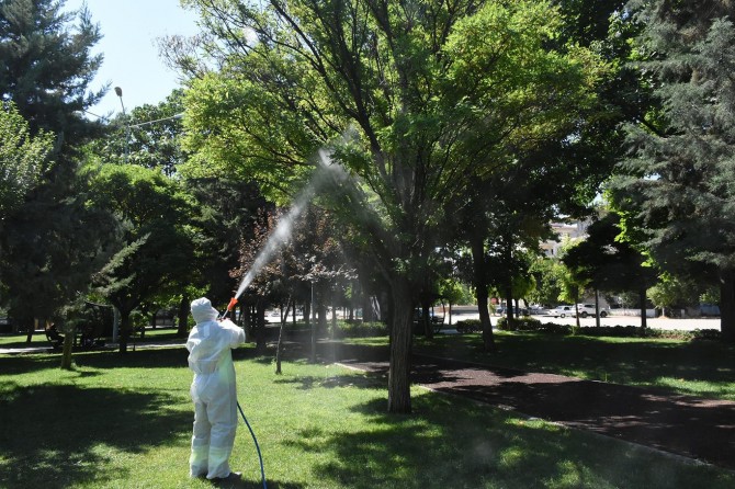 ​Gaziantep’te haşerelere karşı ilaçlama başladı
